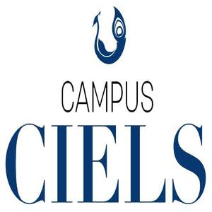 logo CAMPUS CIELS - BRESCIA PADOVA BOLOGNA